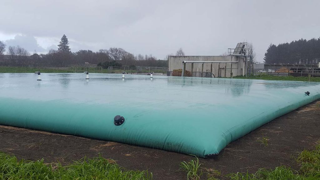 A 600m3 Vortex Bladder™ is part of a dairy effluent system involving a GEA Slope screen and a large concrete sump - Bulls